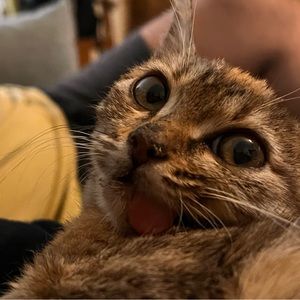 Meet your Posher, Angel